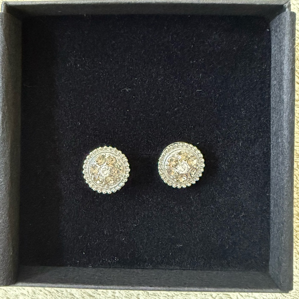 Elegant Silver Stud Earrings.